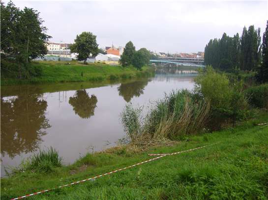 Radbuza nam na uvitanou ukazuje svou kalnou tvar