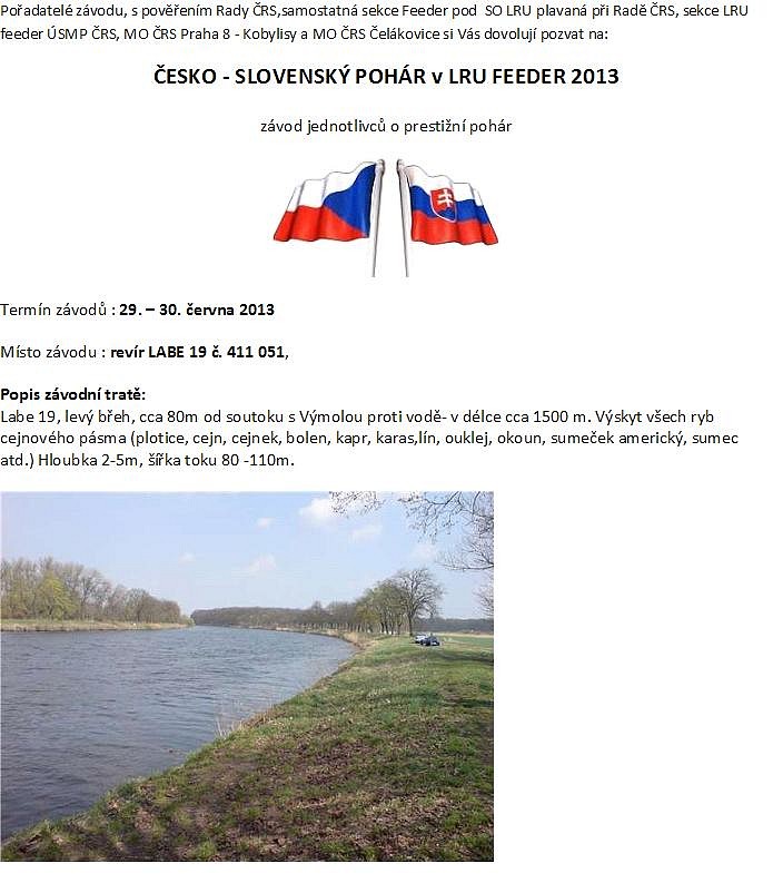 ČS-SL pohár 2013