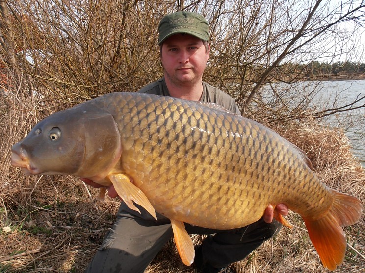 krasny-breznovy-kapr-ktery-po-zvazeni-ma-uctyhodnych-15-kg.jpg