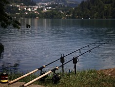 nedelka_bled_013.jpg